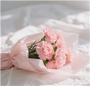 白色褶皱布料上的粉色康乃馨花束图片