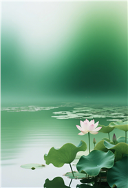 唯美梦幻朦胧美荷花池摄影图片