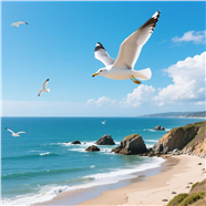 在大海上空飞翔的海鸥图片