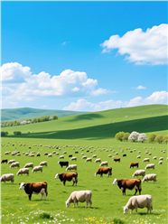 蓝天白云绿色大草原牛羊群摄影图片