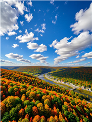 秋天蓝天白云树木风景摄影图片