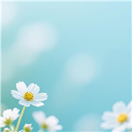 唯美小花壁纸背景图片