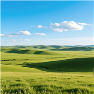 蓝色天空绿茵茵的草地图片