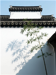 竹影摇曳徽派建筑摄影图片