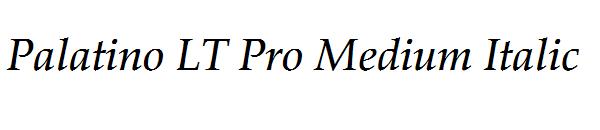 Palatino LT Pro Medium Italic