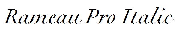 Rameau Pro Italic
