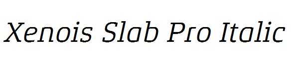 Xenois Slab Pro Italic