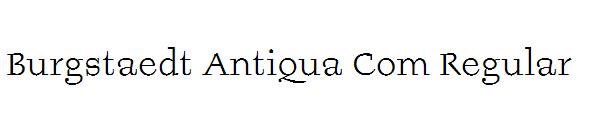 Burgstaedt Antiqua Com Regular