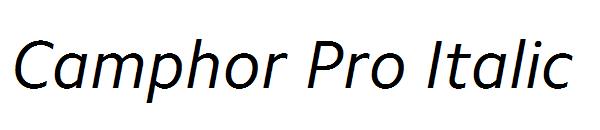 Camphor Pro Italic