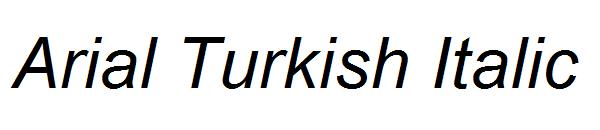 Arial Turkish Italic