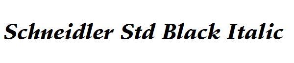 Schneidler Std Black Italic