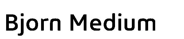 Bjorn Medium