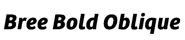 Bree Bold Oblique