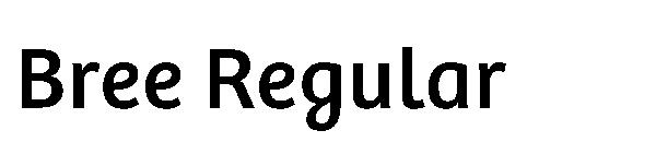 Bree Regular
