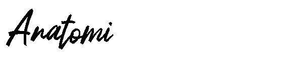 Anatomi字体