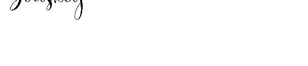 Baiskey字体