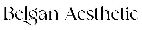 Belgan Aesthetic字体