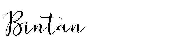 Bintan字体
