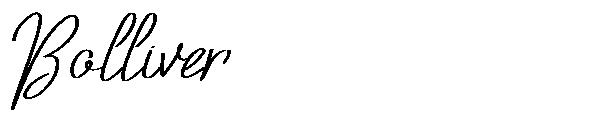 Bolliver字体