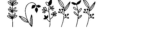 Botana字体