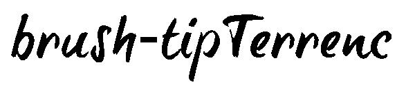 brush-tipTerrenc字体