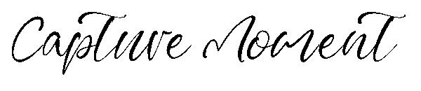 Capture Moment字体