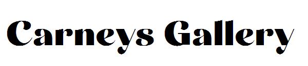 Carneys Gallery字体
