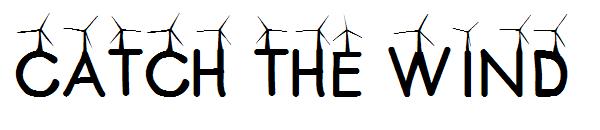 CATCH THE WIND字体