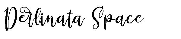 Derlinata Space字体