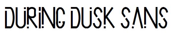 During Dusk Sans字体