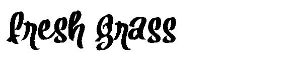 Fresh Grass字体