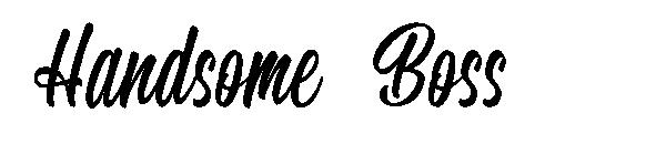 Handsome Boss字体
