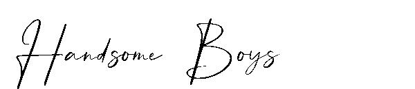 Handsome Boys字体