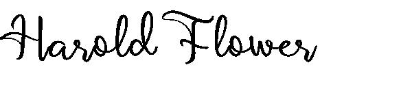 Harold Flower字体