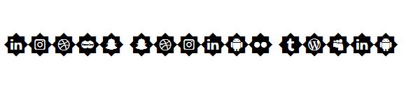 icons social media字体