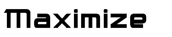 Maximize字体