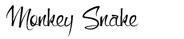 Monkey Snake字体