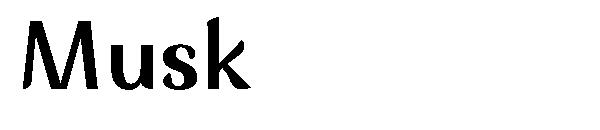 Musk字体
