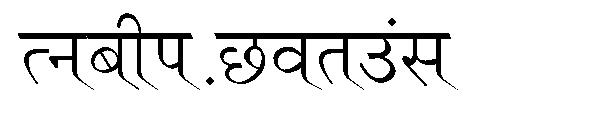 Ruchi-Normal字体