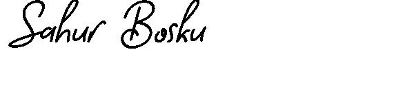 Sahur Bosku字体
