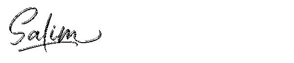 Salim字体