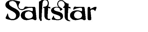 Saltstar字体