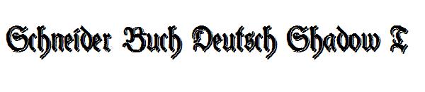 Schneider Buch Deutsch Shadow T字体
