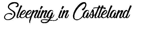 Sleeping in Castleland字体