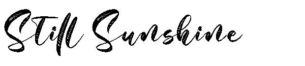 Still Sunshine字体