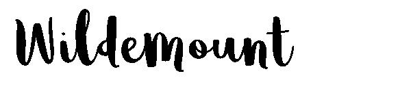 Wildemount字体