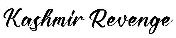 Kashmir Revenge