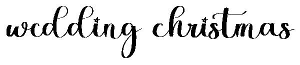 wedding christmas字体