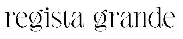 regista grande字体