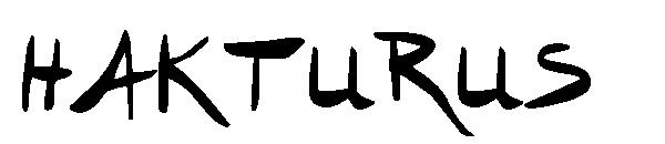 hakturus字体